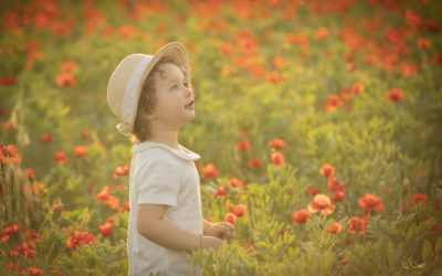 Servizio Fotografico tra i papaveri